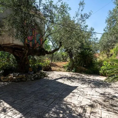 Апартаменты Sunset View *